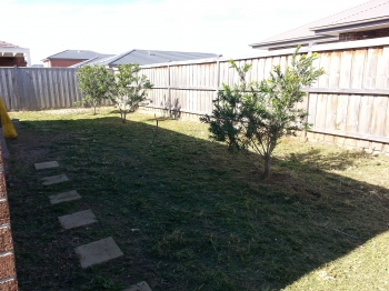 Side pathway mowing after