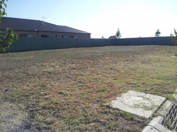 Vacant block after 1
