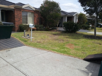 Frontyard after mowing 2