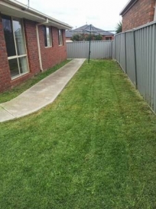Backyard path mowing after