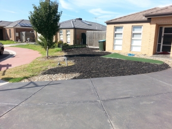 Front yard after weeding & mulch