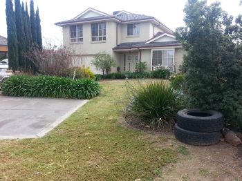 Front yard after mowing