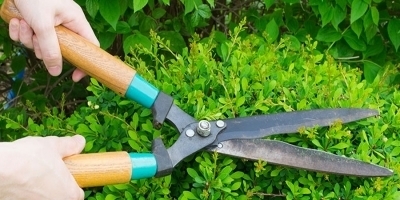 Garden Maintenance